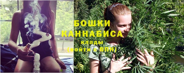 спайс Касимов
