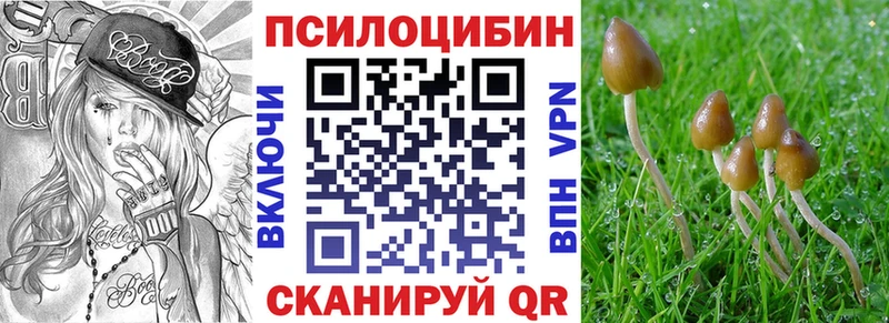 Псилоцибиновые грибы GOLDEN TEACHER Тольятти